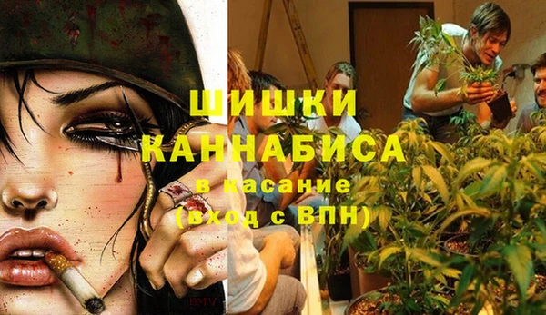 трава Осинники