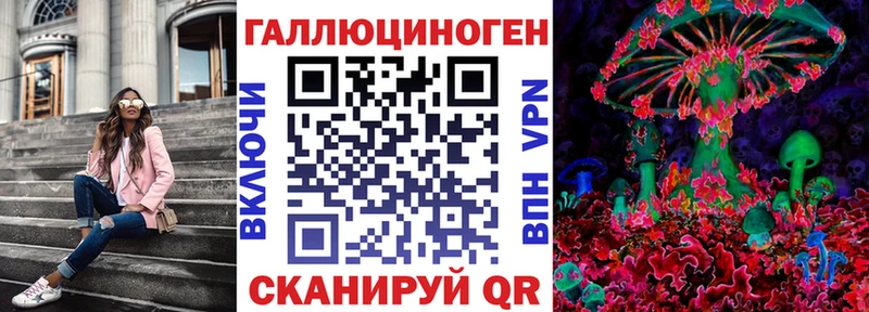 Псилоцибиновые грибы Cubensis  Сосновка 