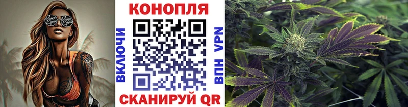 Бошки Шишки конопля  KRAKEN онион  Сосновка 